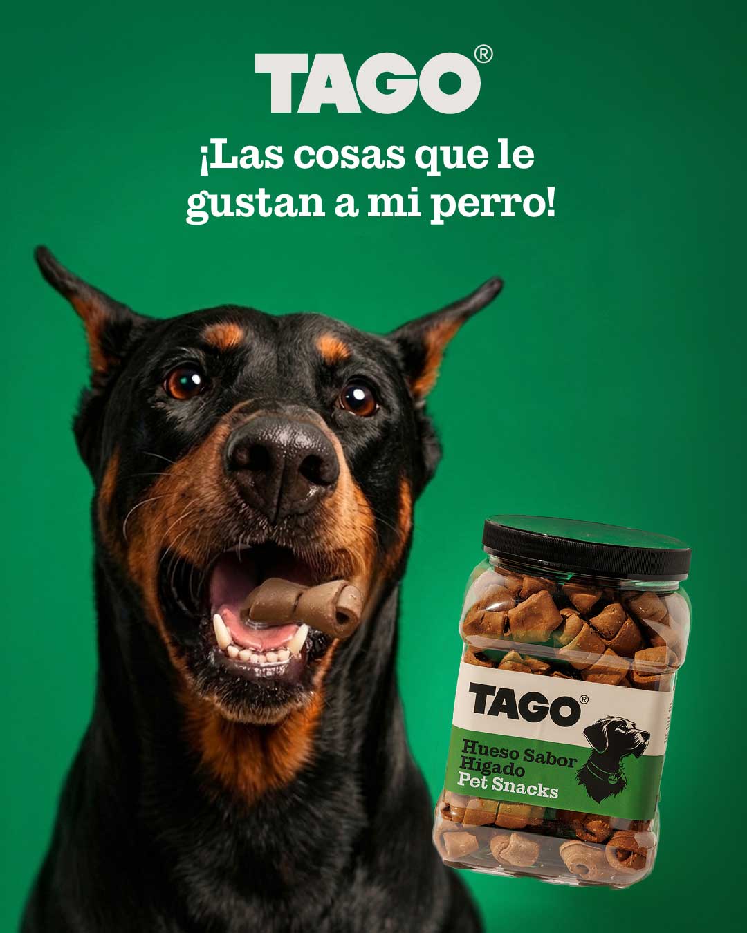 Razas Grandes con TAGO
