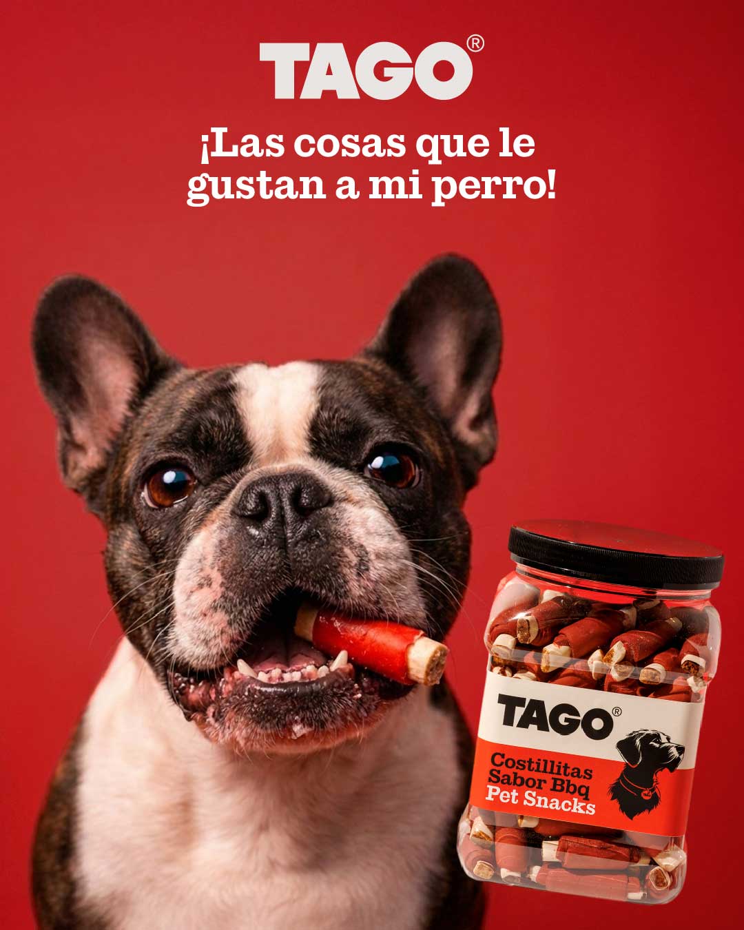 Razas Medianas con TAGO
