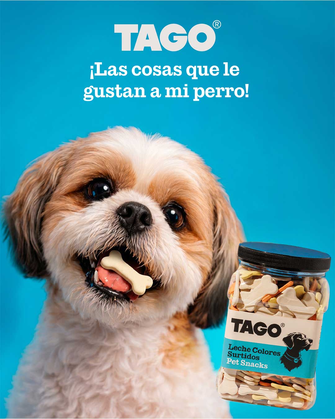 Razas Pequeñas con TAGO